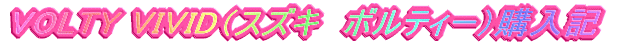 VOLTY VIVID�i�X�Y�L �{���e�B�[�j�w���L